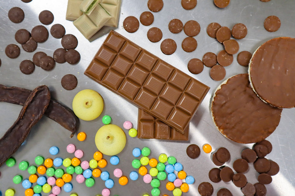 Foreverland raises €6m to expand cocoa-free chocolate internationally