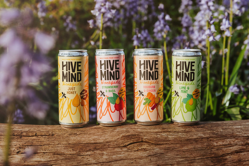 Mead producer Hive Mind enters soft drinks category with Honeyade range