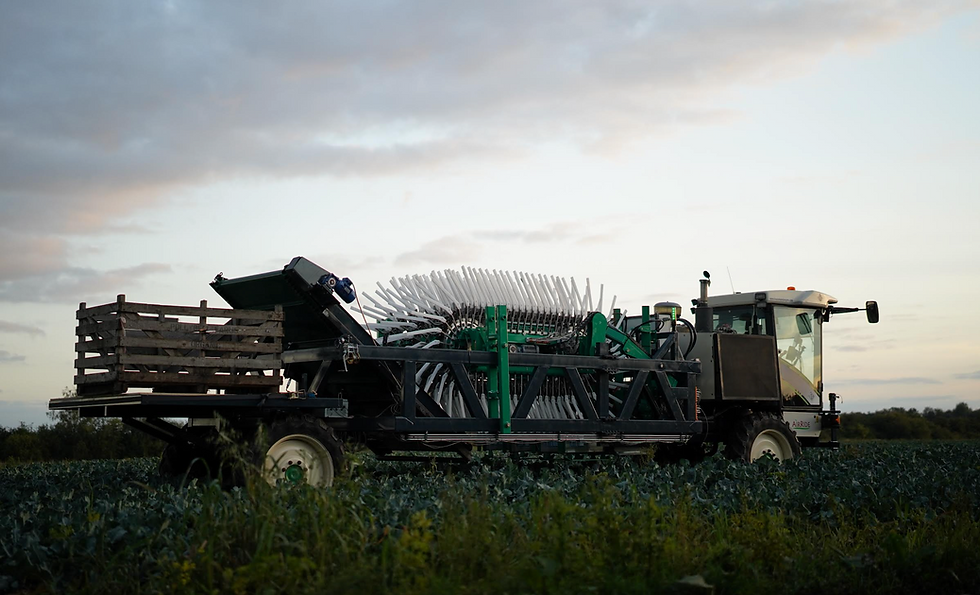 Upcycled Plant Power receives £3.5 million in funding round