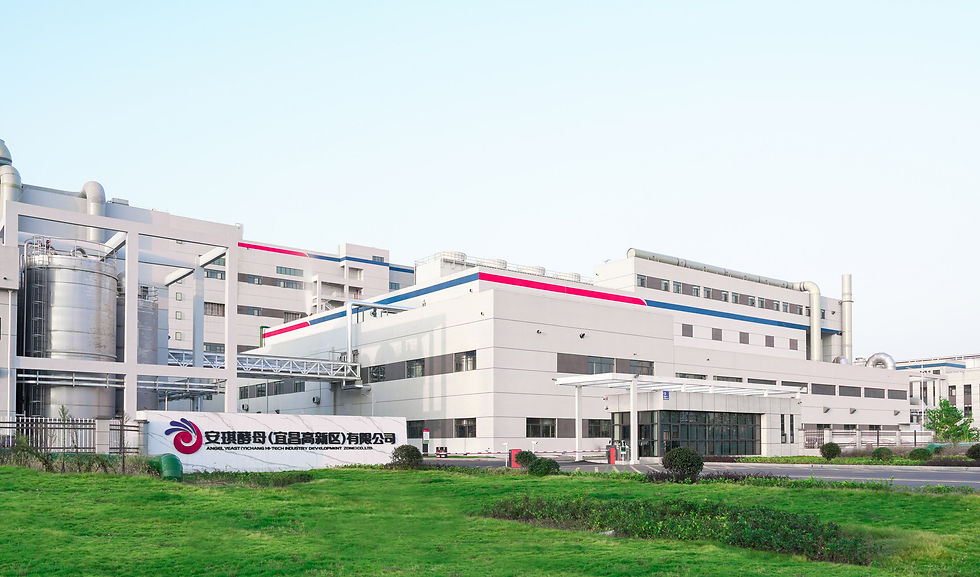 Angel Yeast inaugurates new 11,000-ton yeast protein production line at site in China