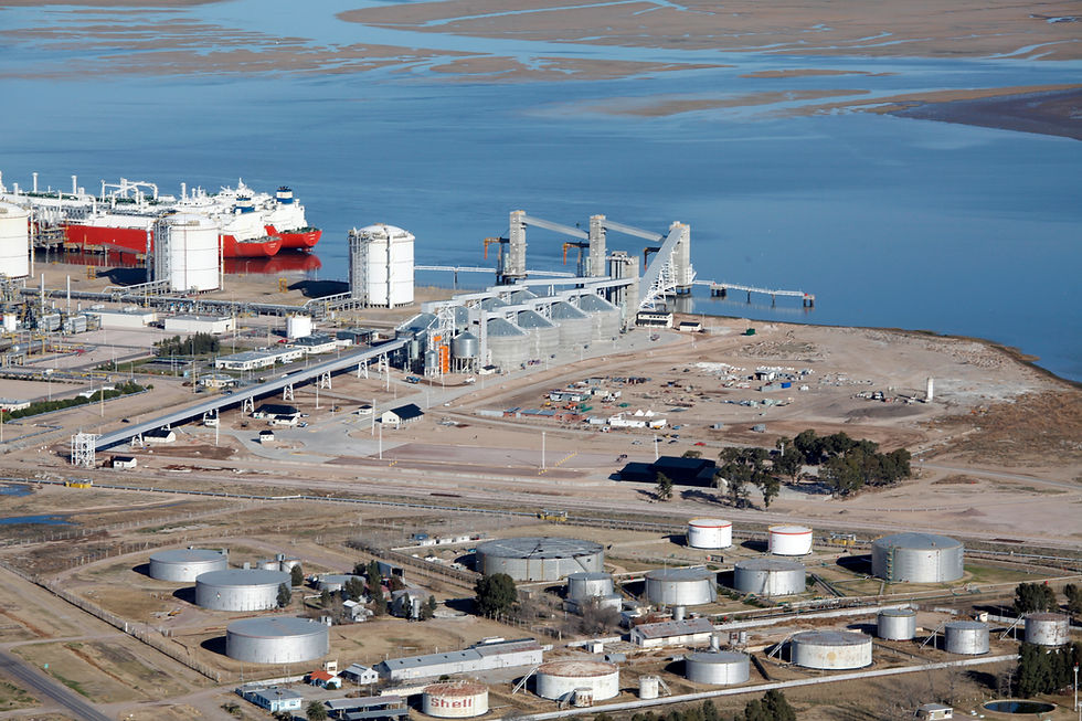 LDC to build new sunflower and soy processing plant in Argentina