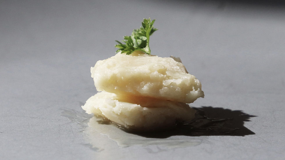 Melt&Marble raises €7.3m to scale precision-fermented ‘designer fats’