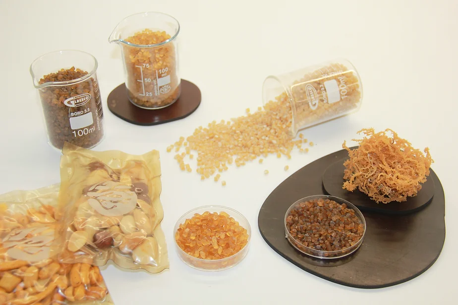Seaweed packaging start-up B