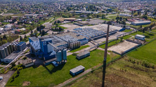 Mycofeast boosts precision-fermented dairy capabilities with Daisy Lab acquisition
