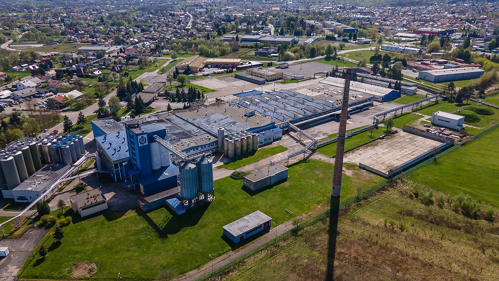 Mycofeast boosts precision-fermented dairy capabilities with Daisy Lab acquisition