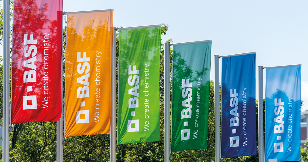 BASF declares force majeure on selected ingredients following fire at German plant