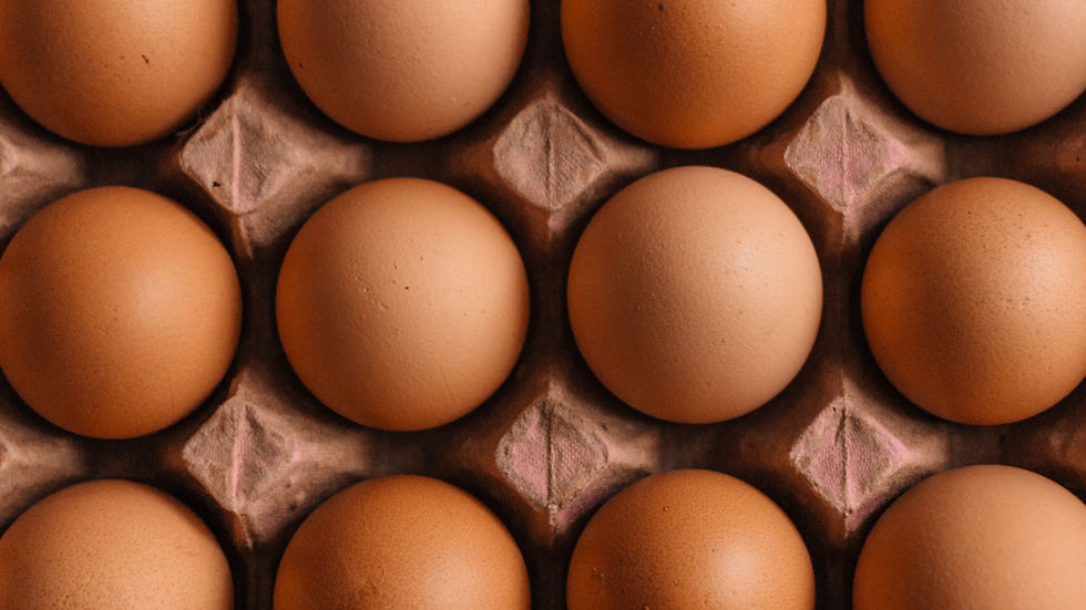 Warburg Pincus backs Global Eggs with up to $1bn investment