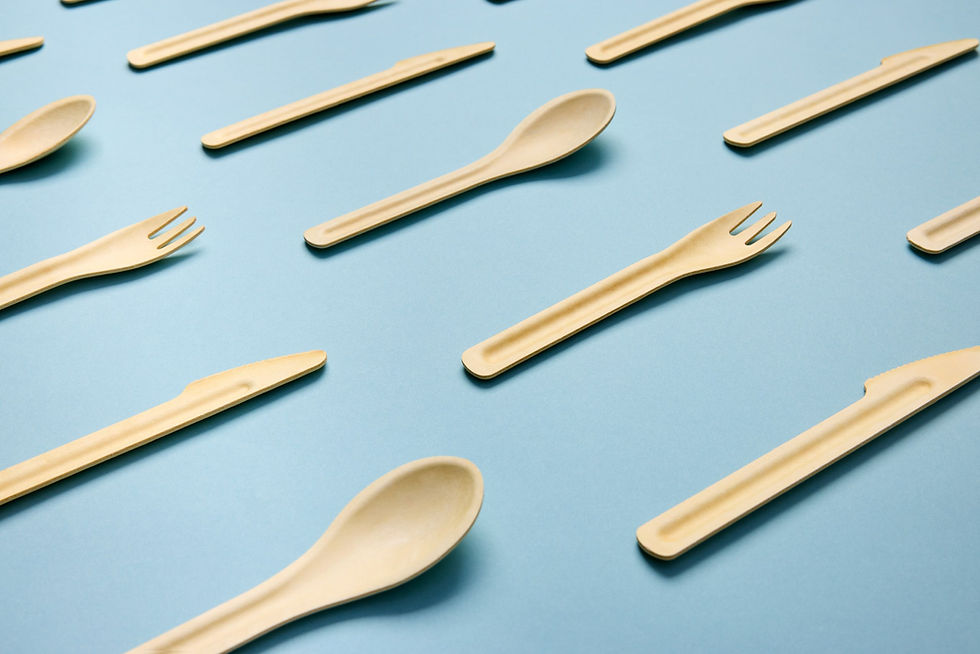 Fiberdom secures €3.5m to advance plastic-free, circular material innovation