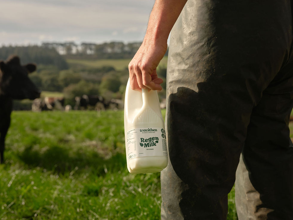 Trewithen Dairy rolls out regeneratively farmed milk in UK Tesco stores