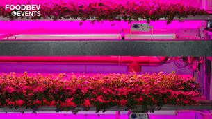 Can vertical farming rise to the challenge?