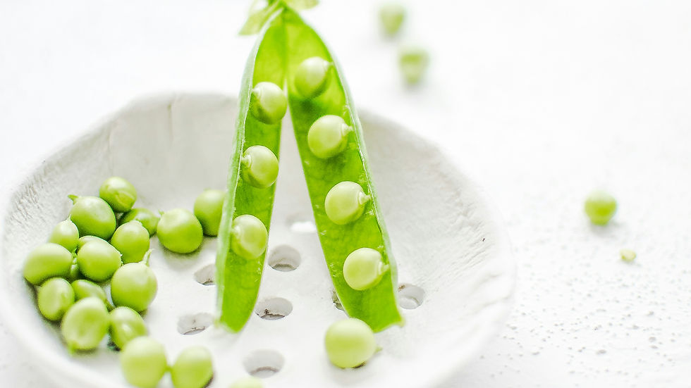 Lantmännen receives €50m EIB loan for new pea protein facility