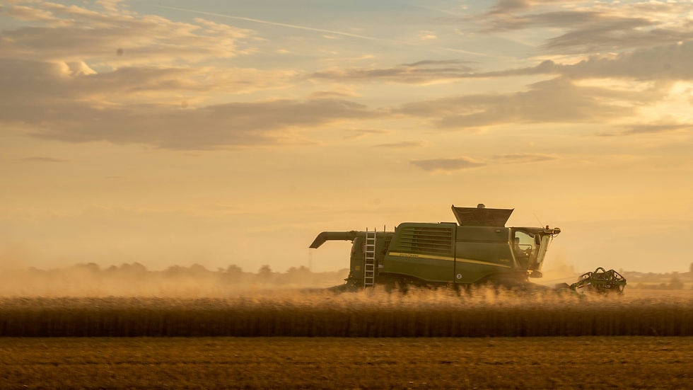 Extreme weather shockwaves: How can the F&B industry build resilience?