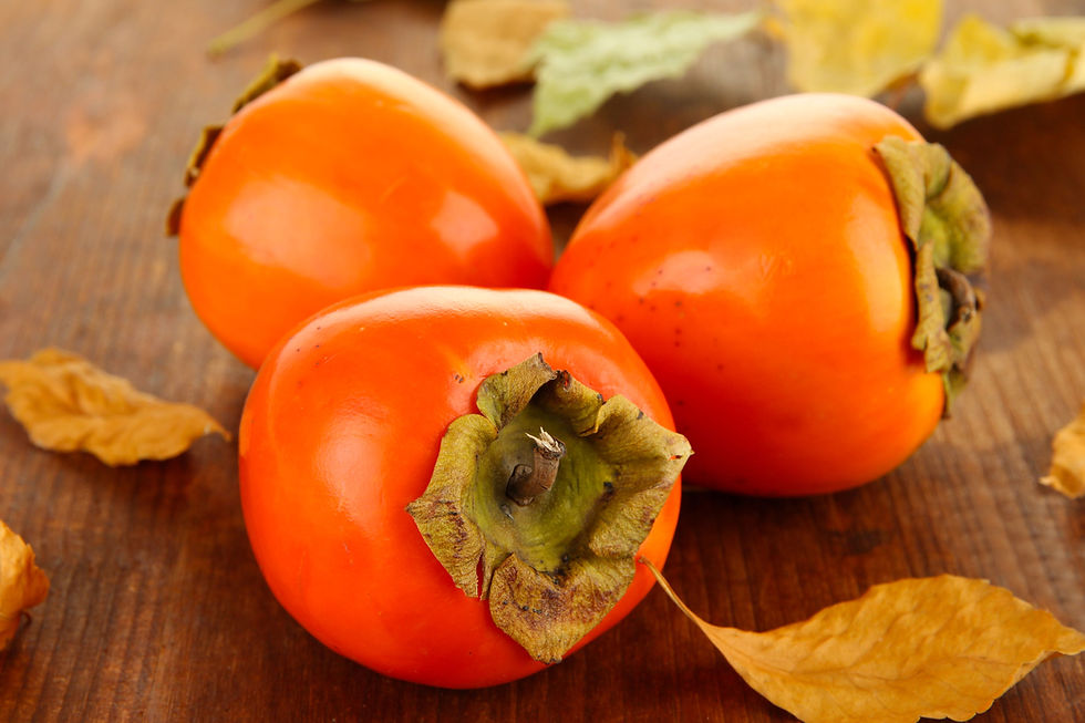 Euromed expands botanical ingredients range with persimmon extract for weight management