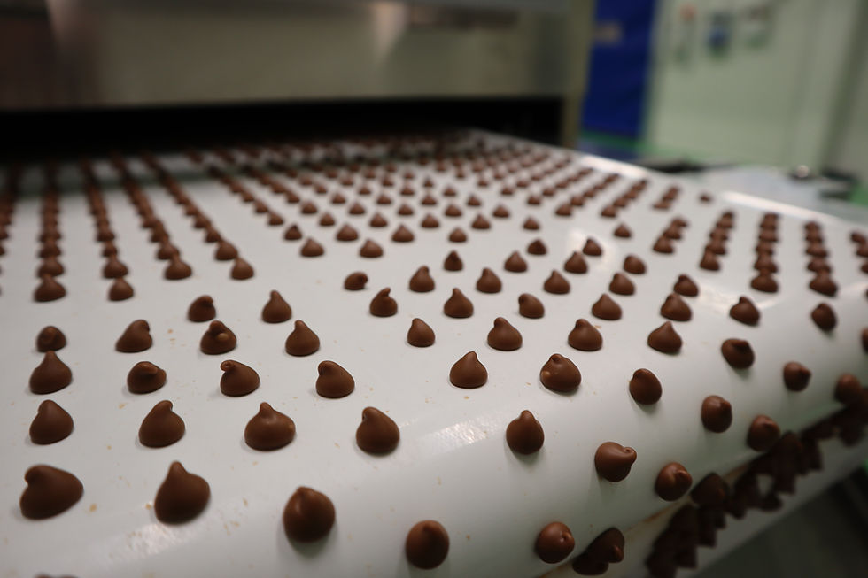 Foreverland expands chocolate alternative production capacity, launches new protein snacks
