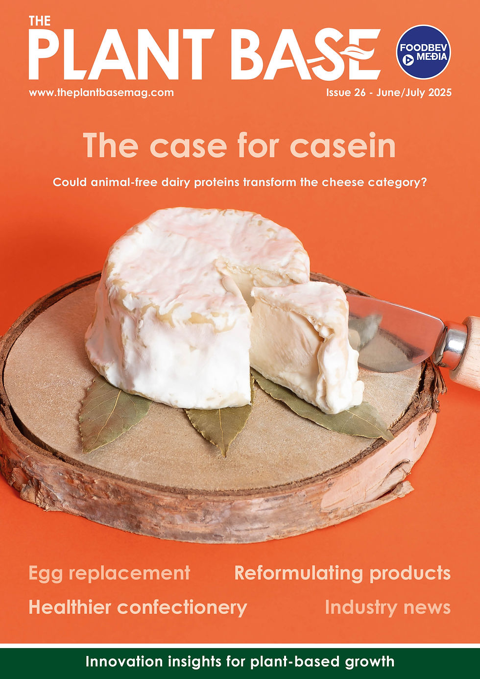 Issue 26