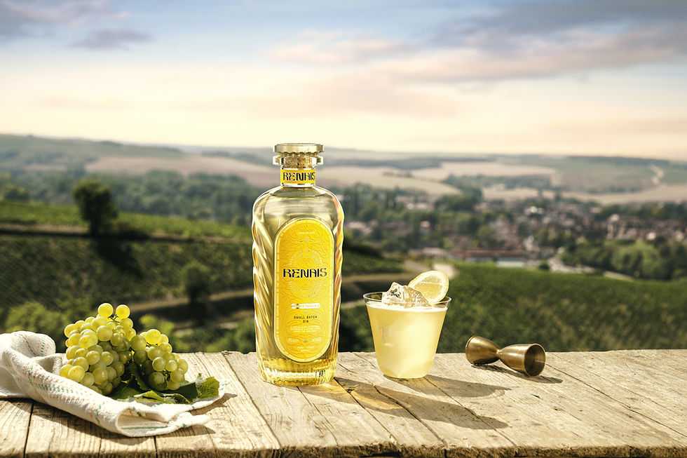 Renais secures £4.95m in funding to fuel global expansion