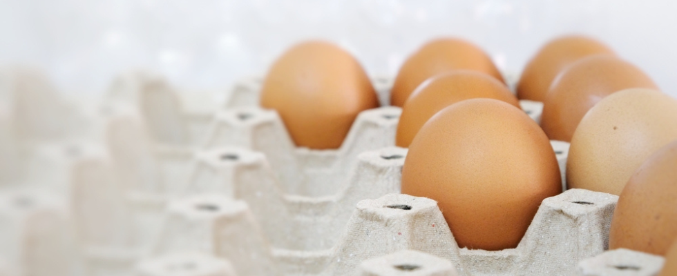 Innovation in egg alternatives: The next generation
