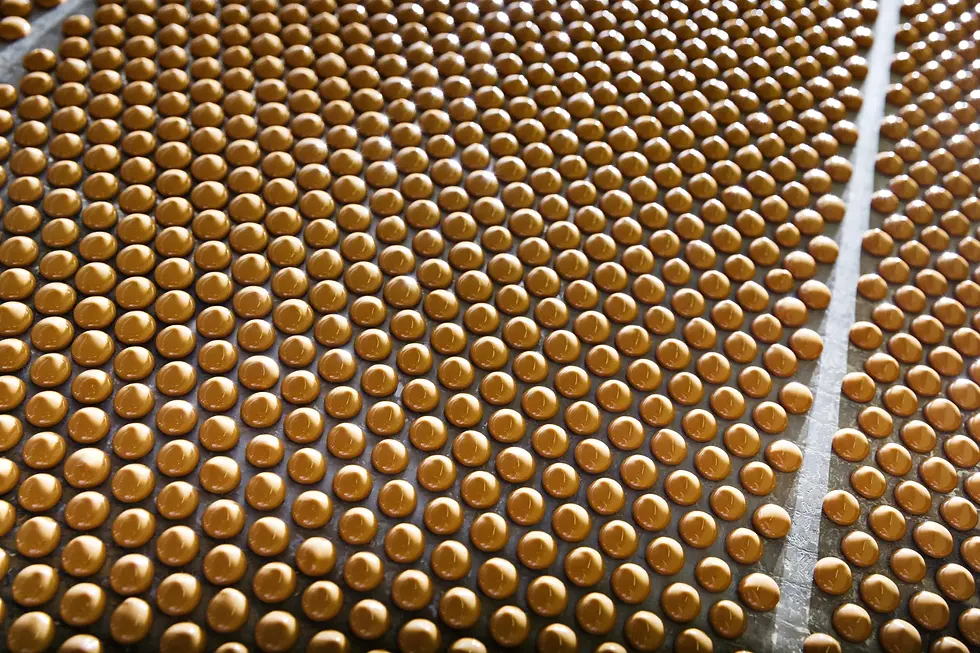 Barry Callebaut partners with NotCo AI to explore artificial intelligence in chocolate development