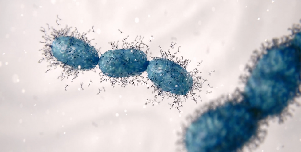 DSM-Firmenich and research partners uncover bacterial defenses that could reshape dairy fermentation