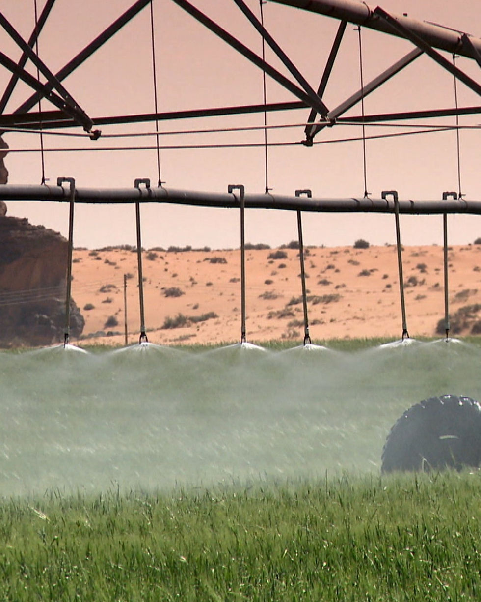 FPT engines to support $3.5bn Algerian dairy and powdered milk project