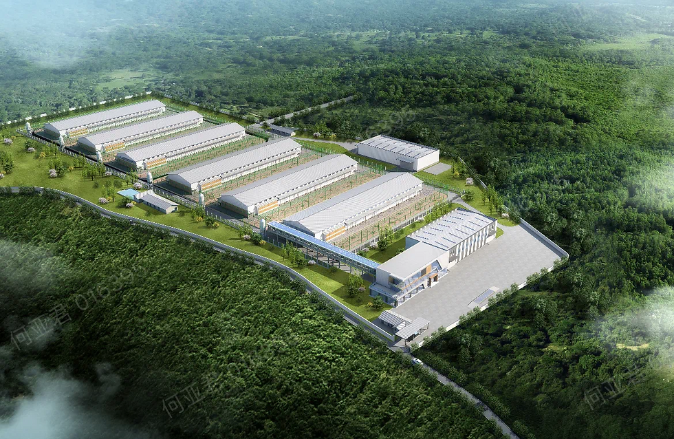 China’s largest single-site cage-free egg farm under construction