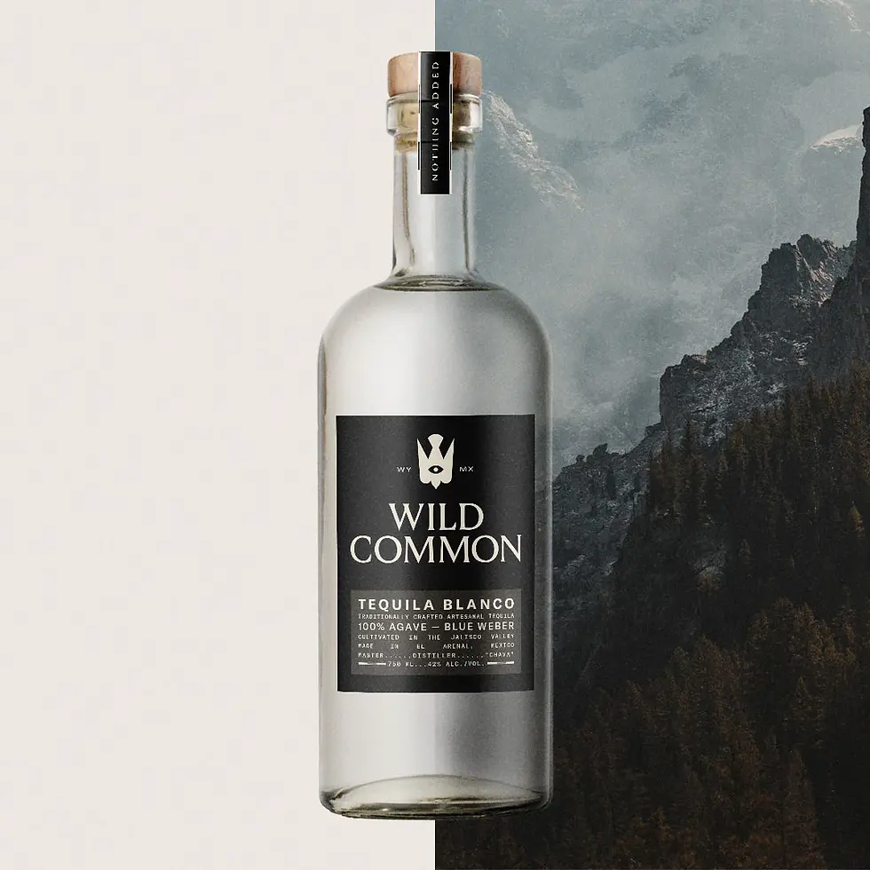 Agave spirits producer Wild Common raises $5m in Series A funding round