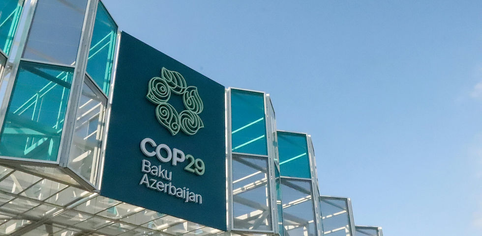 What has COP29 taught us about building sustainable food systems?