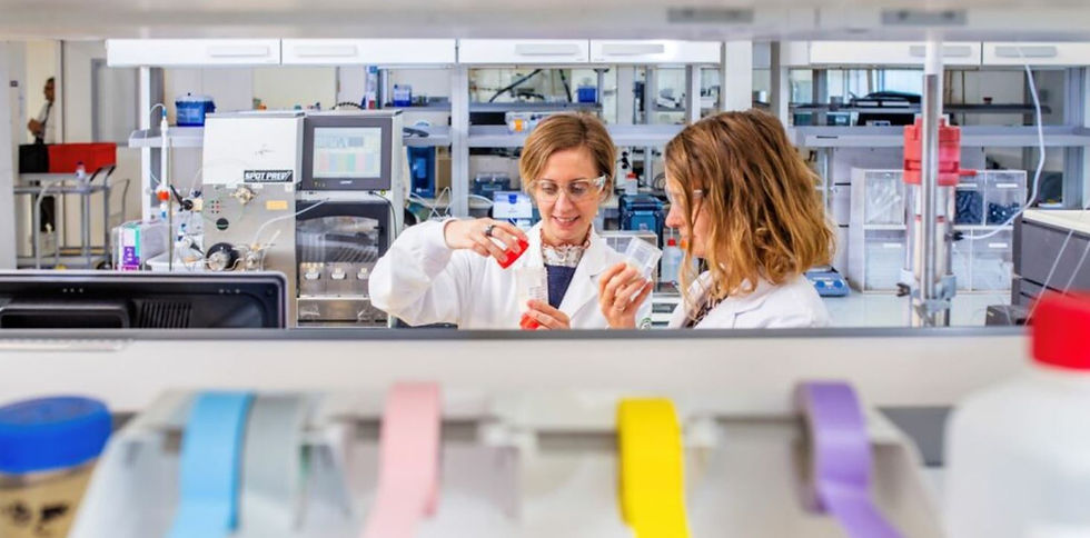 Lesaffre secures majority stake in Biorigin to strengthen its savoury ingredient solutions