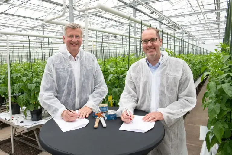 Bayer and Solynta partner to advance true potato seeds in Kenya and India