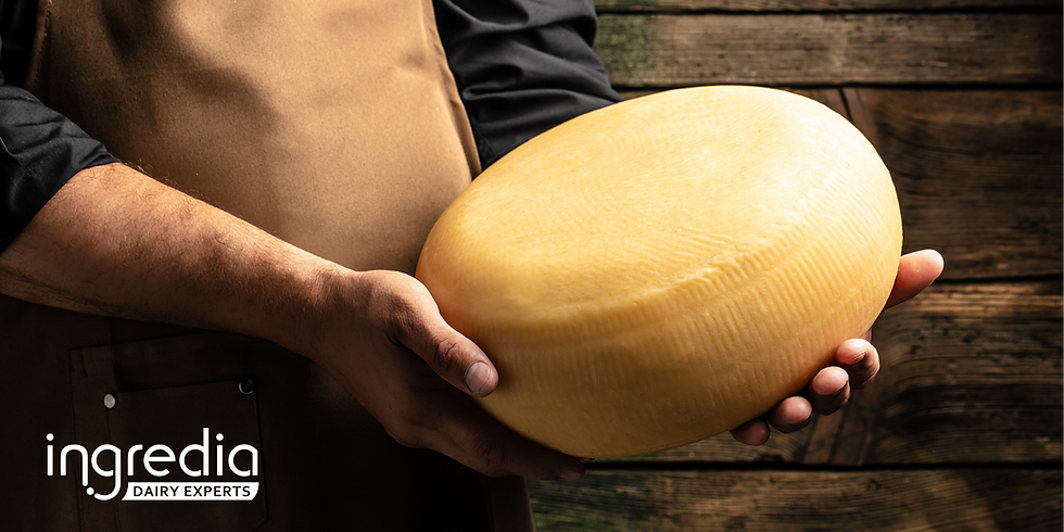 Promilk Xpress : The new cheesemaker’s ally