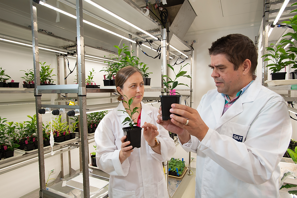 New AUD 41m initiative to enhance Australian fruit and nut production