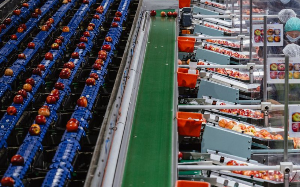 Terrantic closes $3.5m seed round to enhance food supply chain efficiency