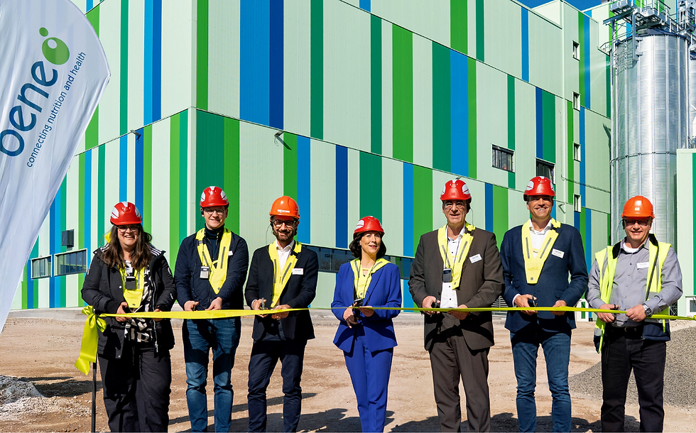 Beneo opens €50m pulse-processing plant in Germany