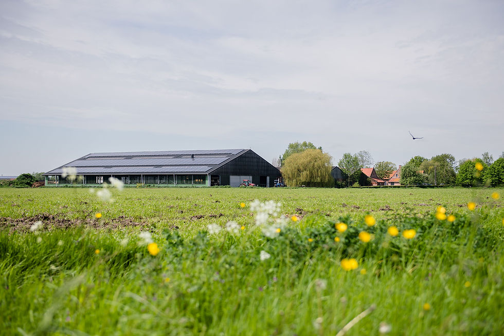 Edeka expands dairy supply chain emissions project with four producers