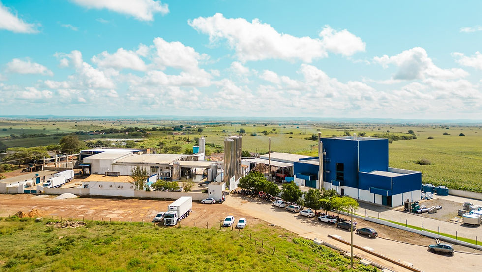 Piracanjuba expands into Northeast Brazil with acquisition of Natulact cheese plant