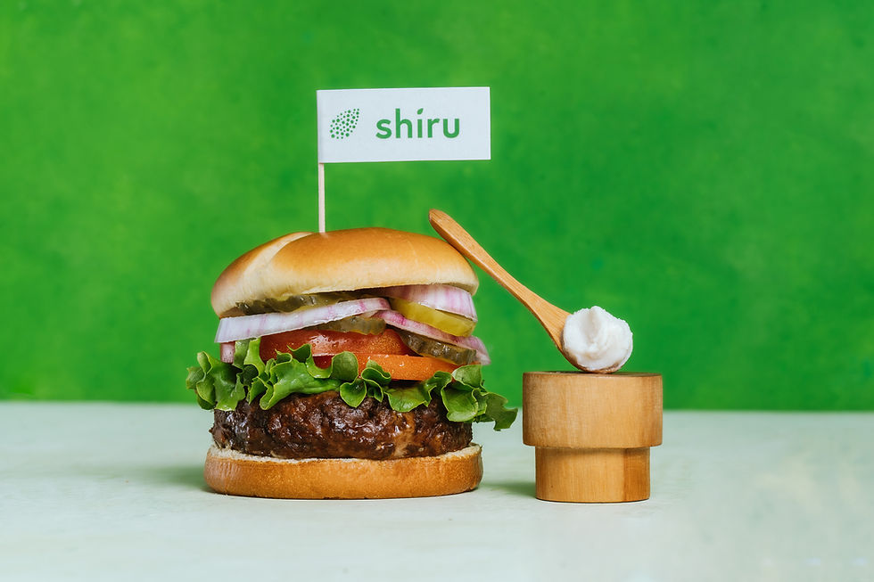 Shiru secures $16m to accelerate ingredient innovation