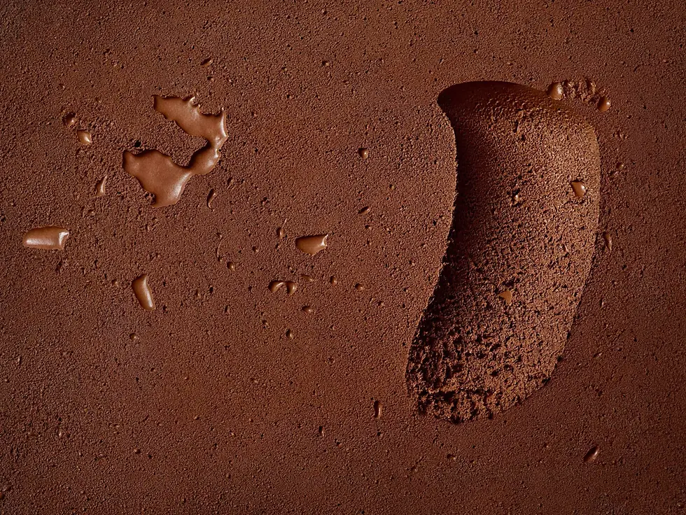 Barry Callebaut teams up with Zurich University of Applied Sciences to advance cocoa cell culture research
