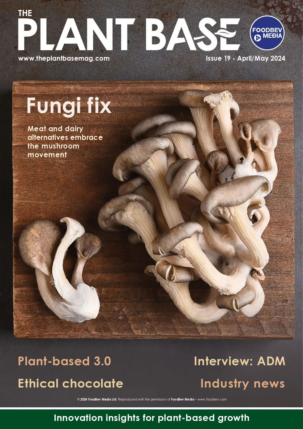 Issue 19