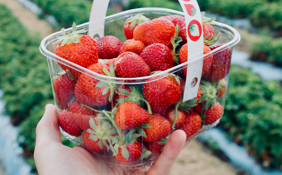 Research: ‘Forever chemicals’ found in UK fruit and vegetables