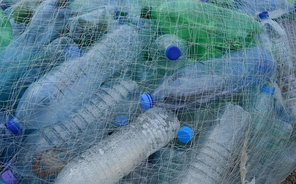 UK launches fund to help create plastic packaging from plants