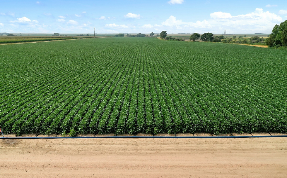 PepsiCo announces new agriculture accelerator projects