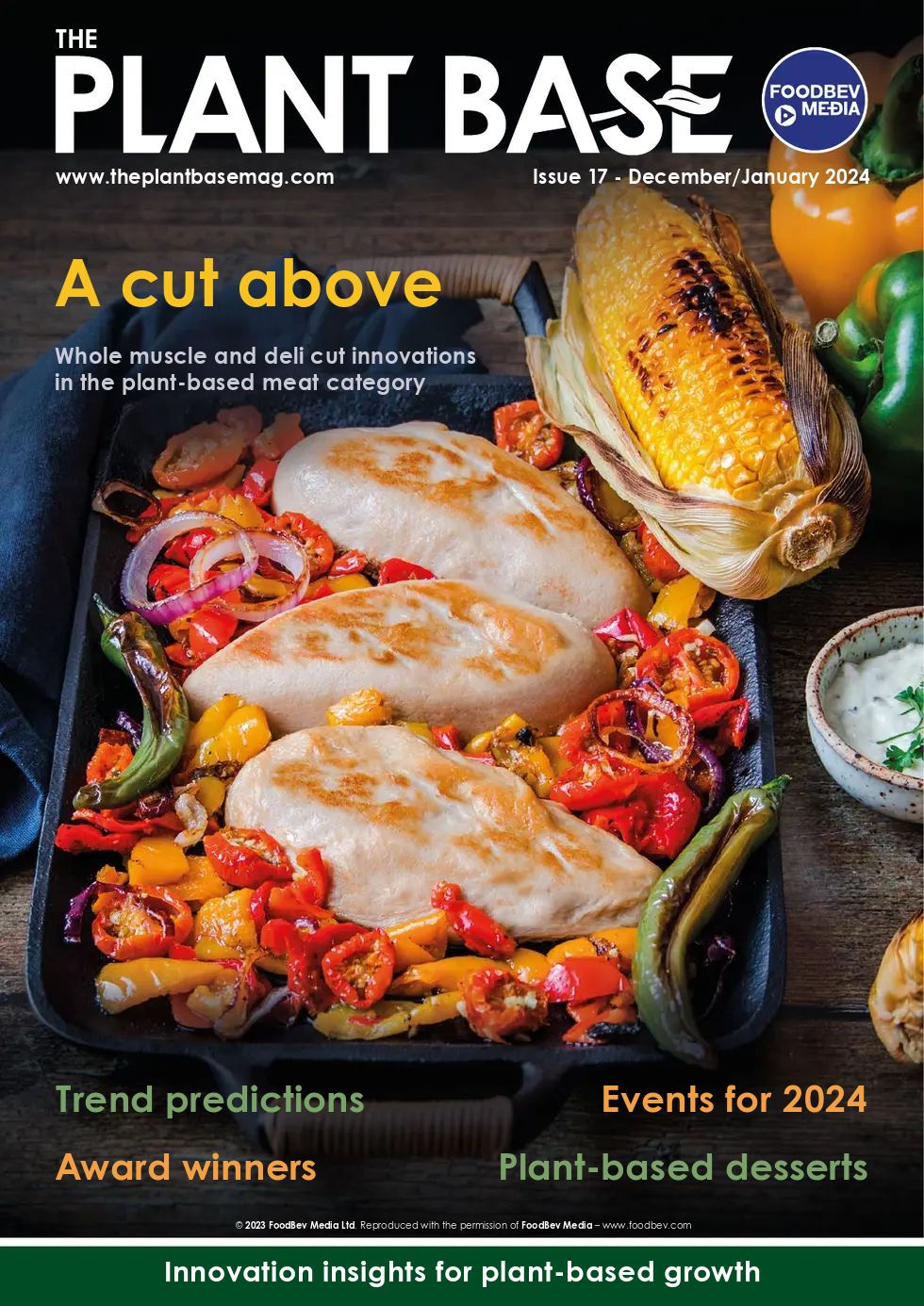 Issue 17
