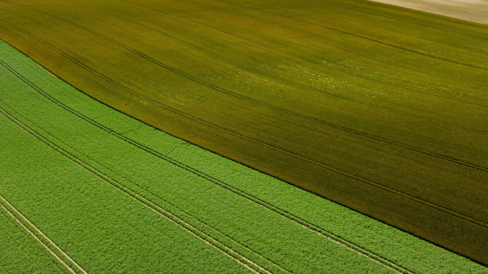 Heineken achieves milestone with first European regenerative barley harvest
