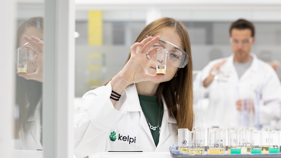 Kelpi secures £4.3m investment for seaweed-based packaging solutions