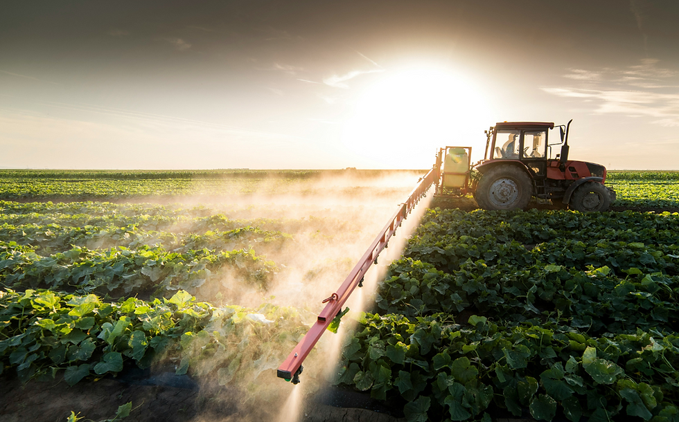 Opinion: Balancing act – Navigating the nitrogen challenge for sustainable agriculture