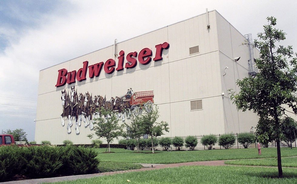 Teamsters authorise February strike at AB InBev