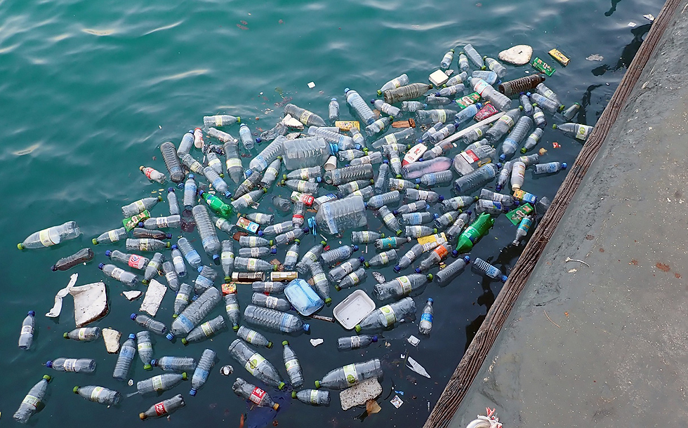 Research: 2024 sees continued increase in plastic waste