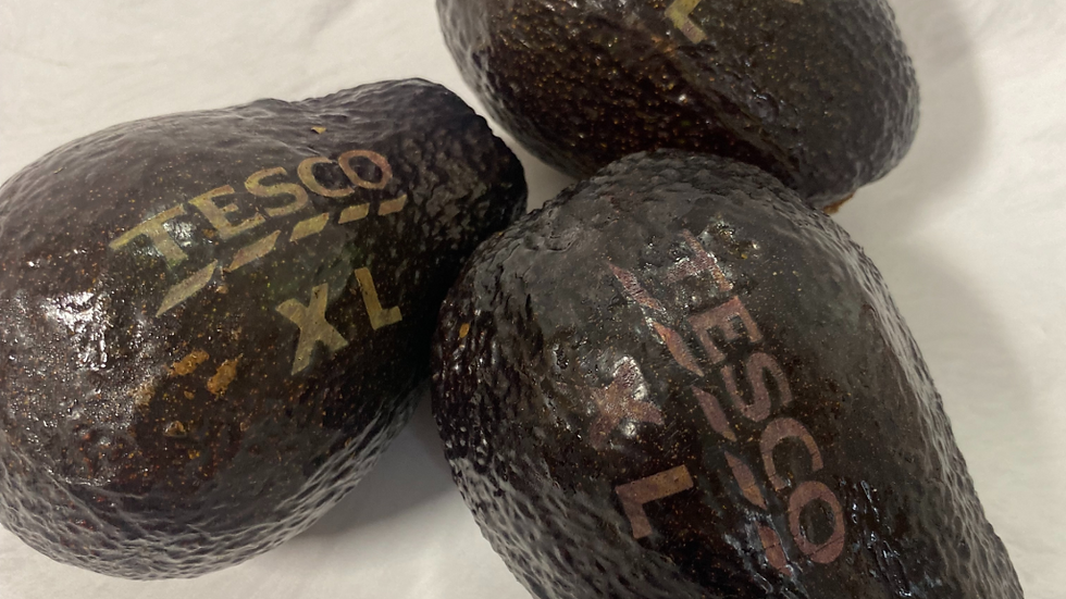 Tesco rolls out laser-etched avocados, ditches plastic trays in environmental push