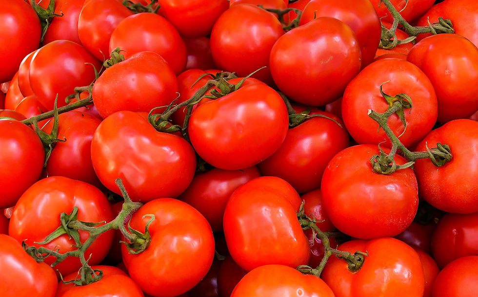 Campbell Soup Company secures $3.4m USDA grant for tomato farming in California
