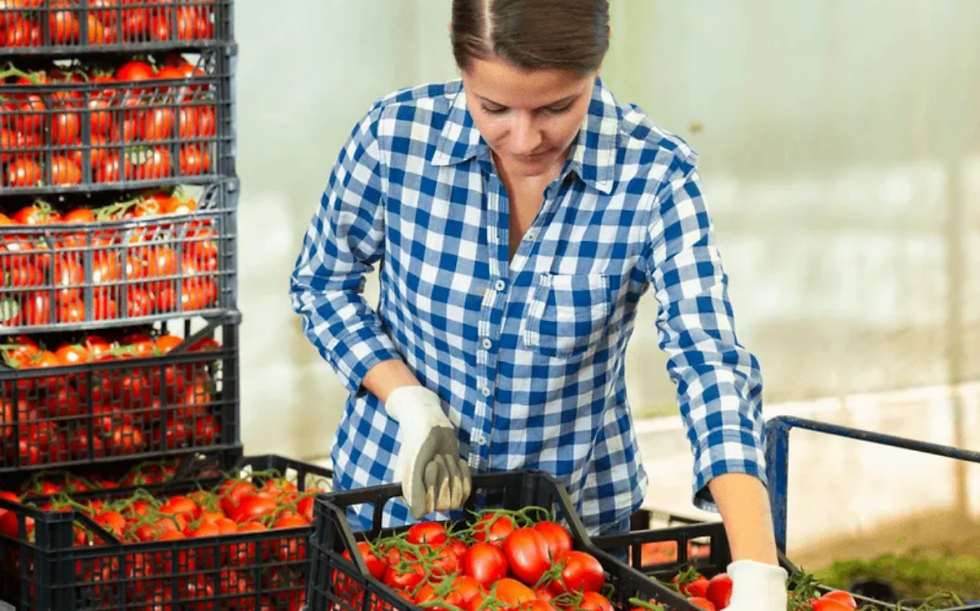 Pepper raises $30m to advance food distribution technology